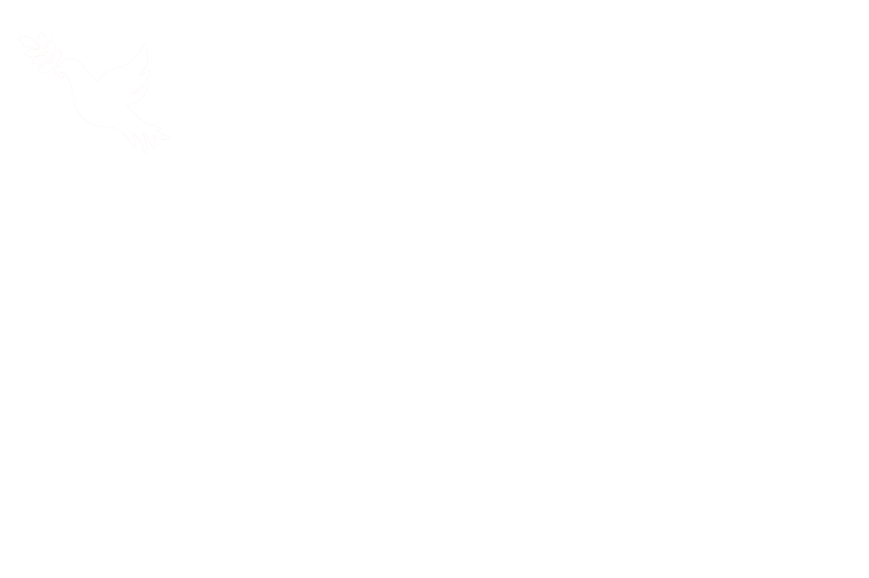 RDE - Red del Evangelio